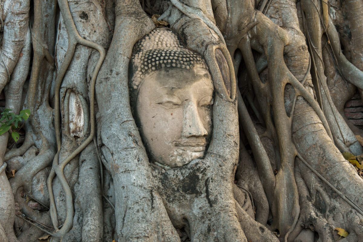 Reseguide till Ayutthaya: 14 bästa sevärdheter i Thailands gamla huvudstad